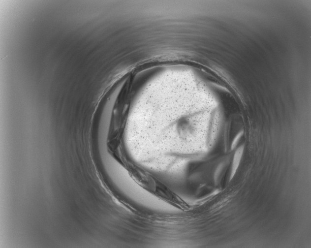 X0000055970485200509162202