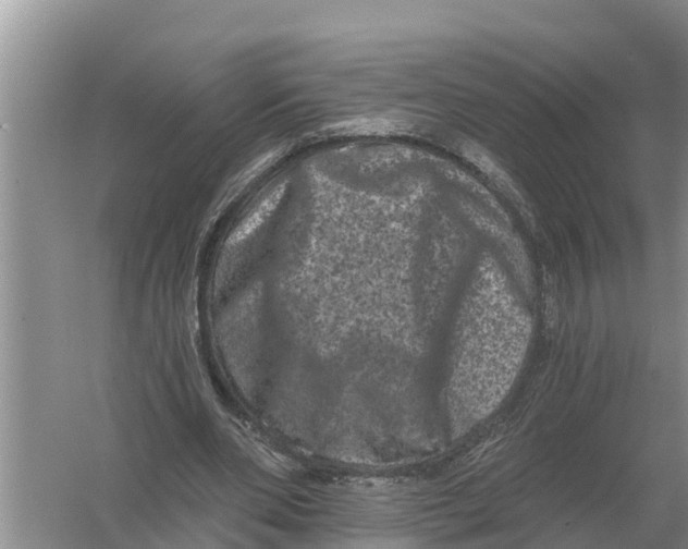 X0000055970486200509162202