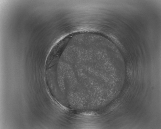 X0000055970488200509162202