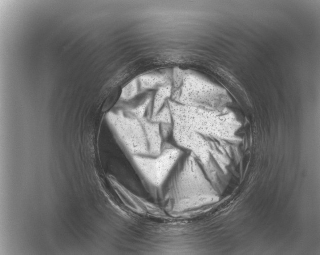 X0000055970489200509162202