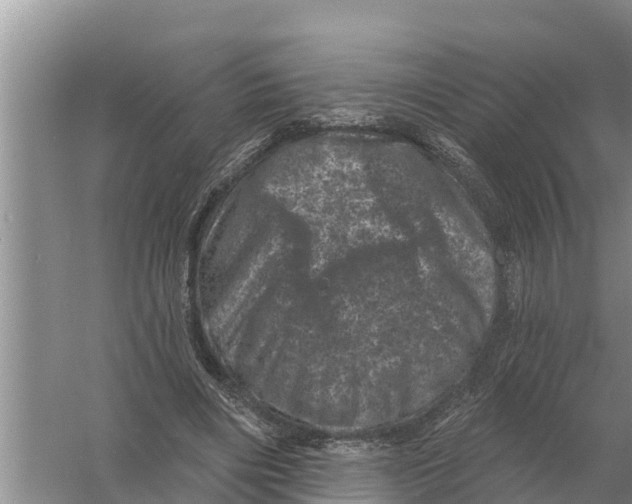 X0000055970490200509162202