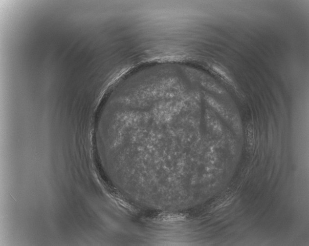 X0000055970491200509162202