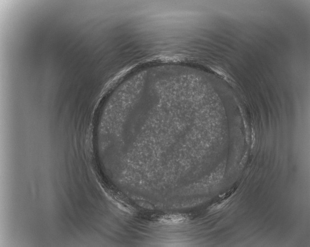 X0000055970492200509162202