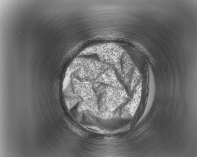 X0000055970493200509162202