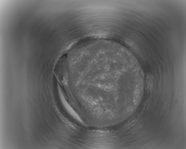 X0000055970494200509162202