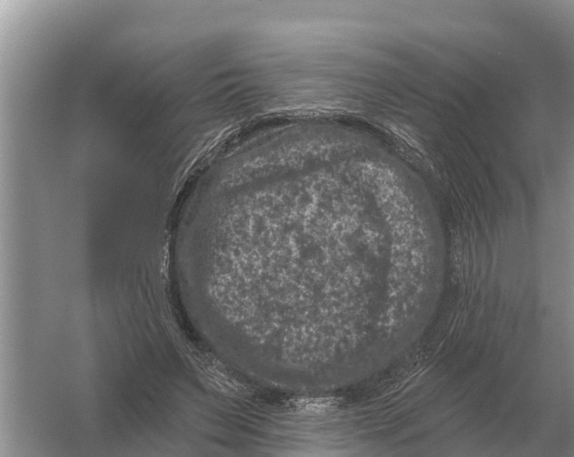 X0000055970495200509162202