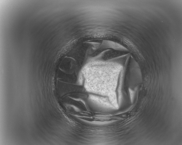 X0000055970497200509162202