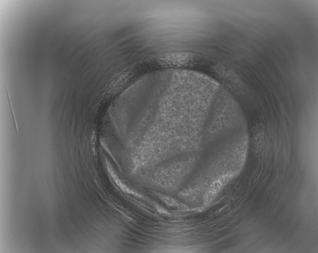 X0000055970498200509162202