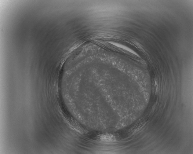 X0000055970500200509162202