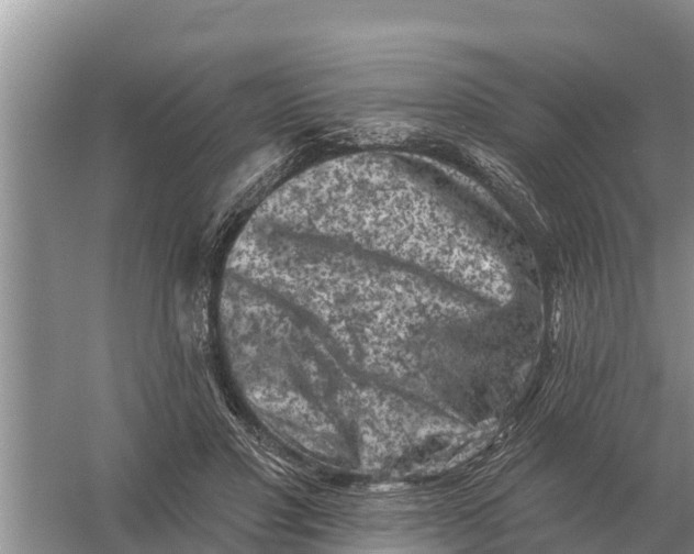 X0000055970501200509162202