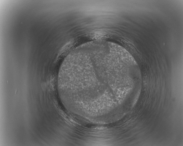 X0000055970503200509162202