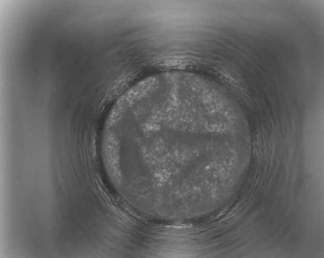 X0000055970504200509162202