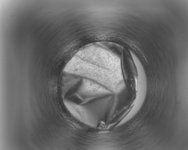 X0000055970505200509162202