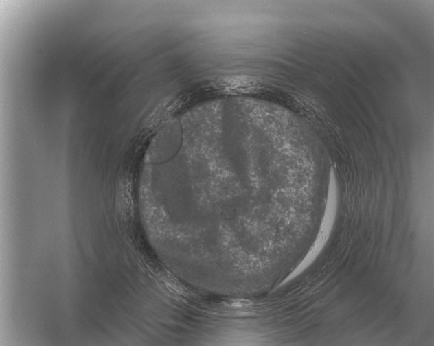 X0000055970506200509162202