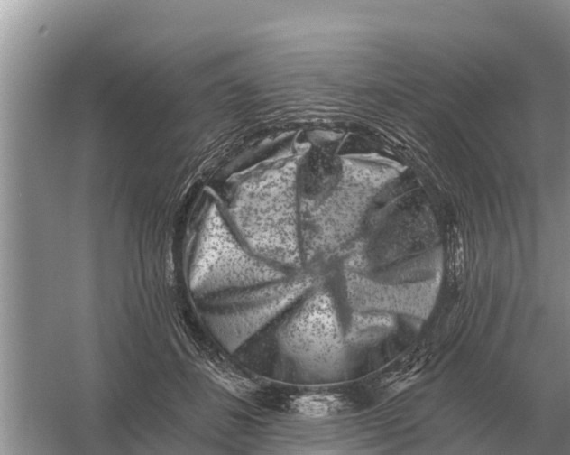 X0000055970508200509162202