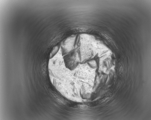 X0000055970509200509162202