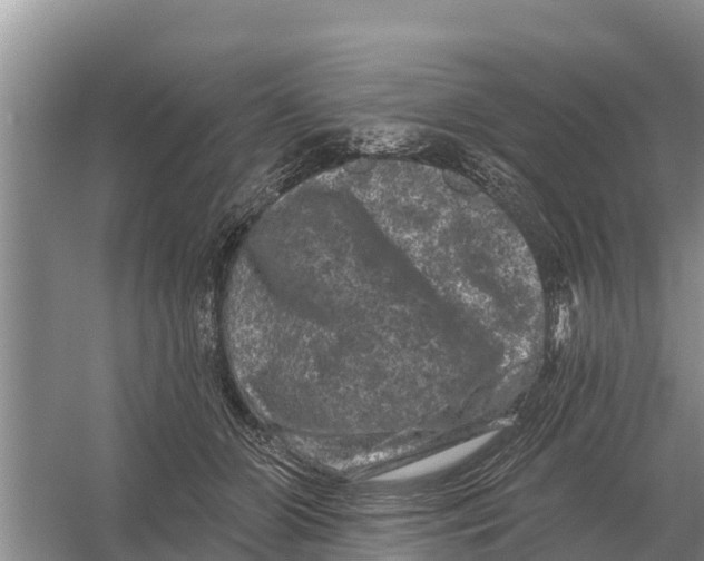 X0000055970510200509162202