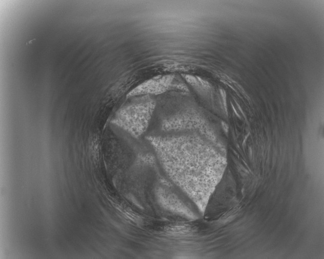 X0000055970513200509162202