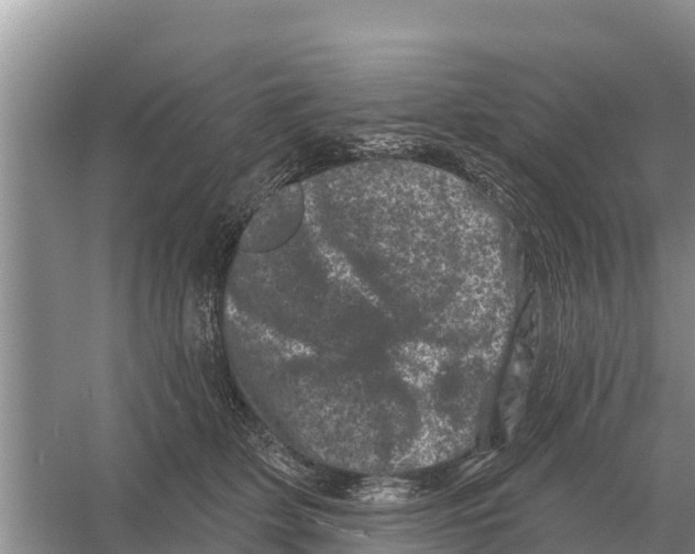 X0000055970514200509162202