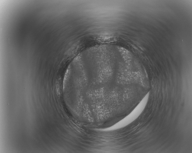 X0000055970515200509162202