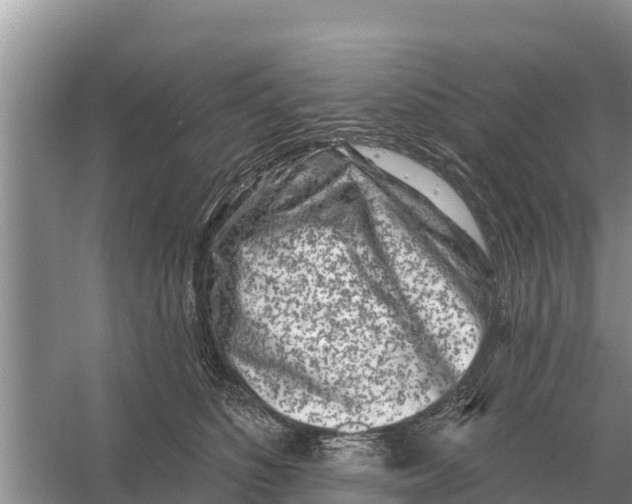 X0000055970516200509162202