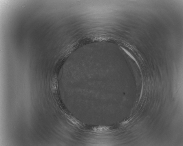 X0000055970517200509162202