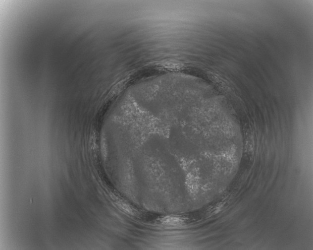 X0000055970518200509162202