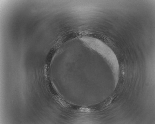 X0000055970519200509162202