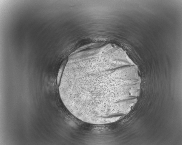 X0000055970521200509162202