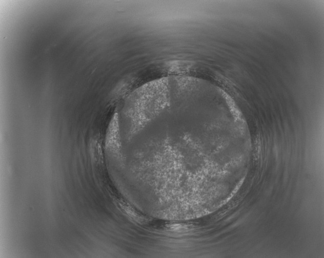 X0000055970522200509162202