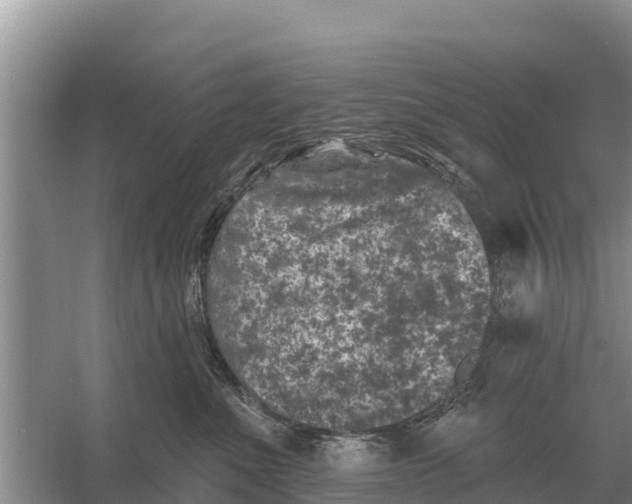 X0000055970523200509162202