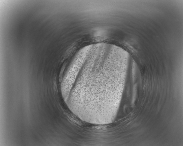 X0000055970524200509162202