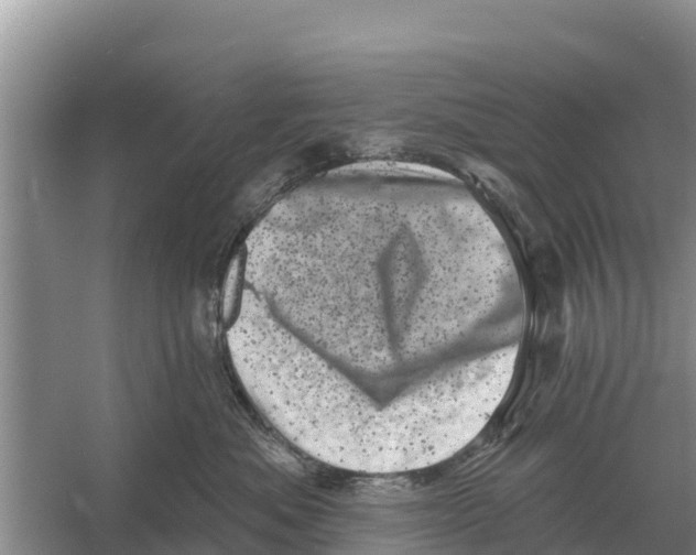 X0000055970525200509162202