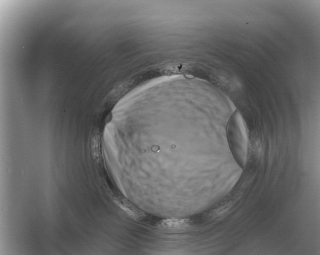 X0000055970526200509162202