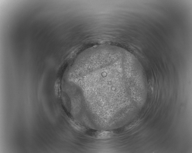 X0000055970527200509162202