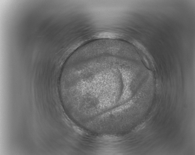 X0000055970529200509162201