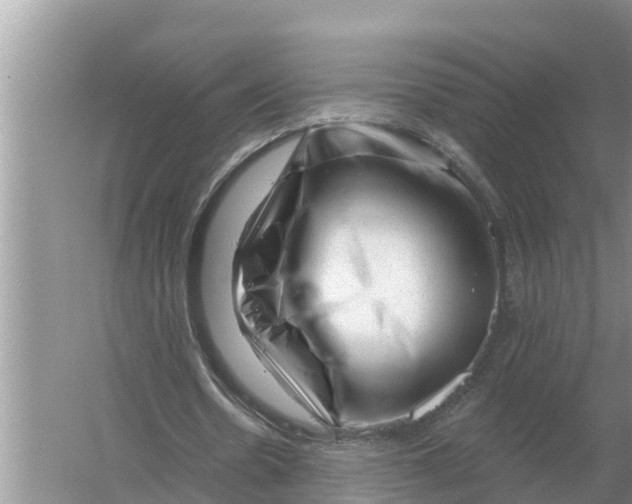 X0000055970530200509162201