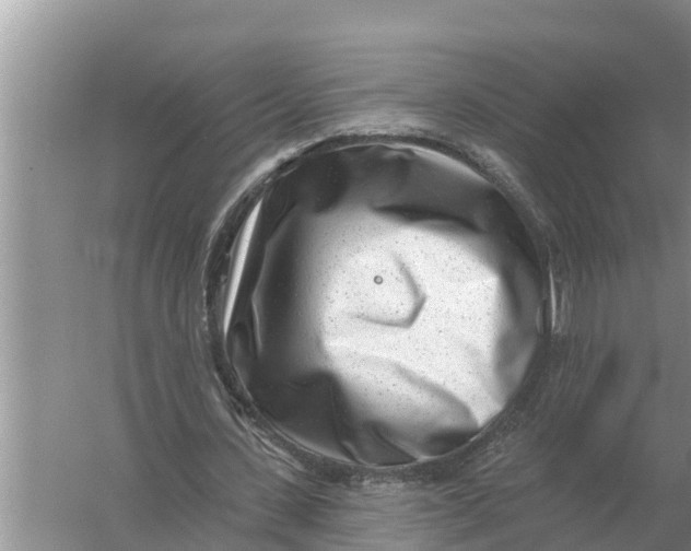 X0000055970531200509162201