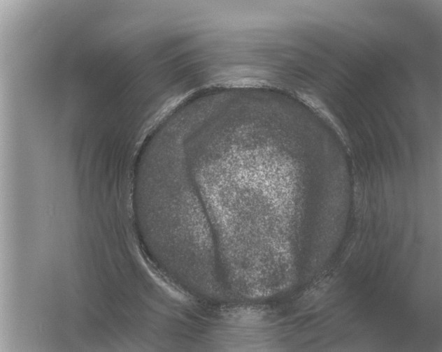 X0000055970533200509162201