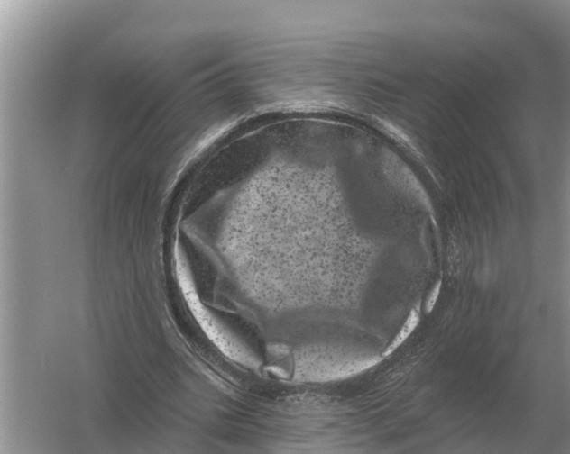 X0000055970535200509162201