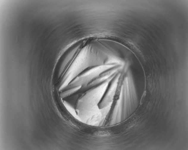 X0000055970536200509162201