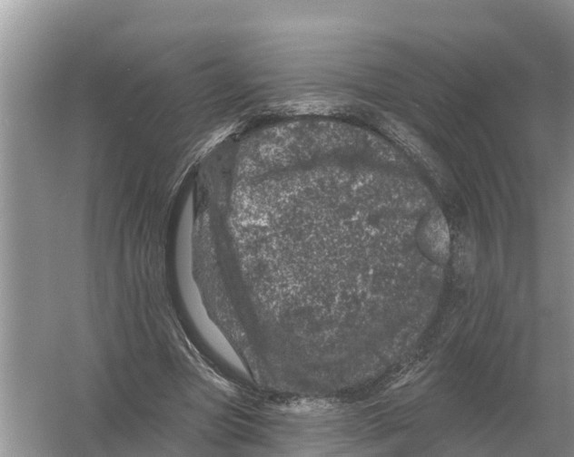 X0000055970537200509162201