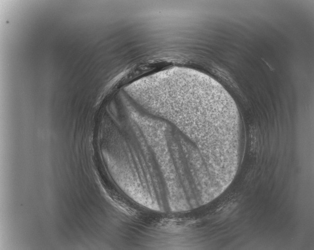 X0000055970538200509162201