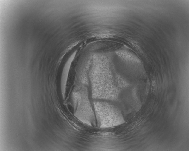 X0000055970539200509162201