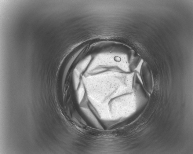 X0000055970540200509162201