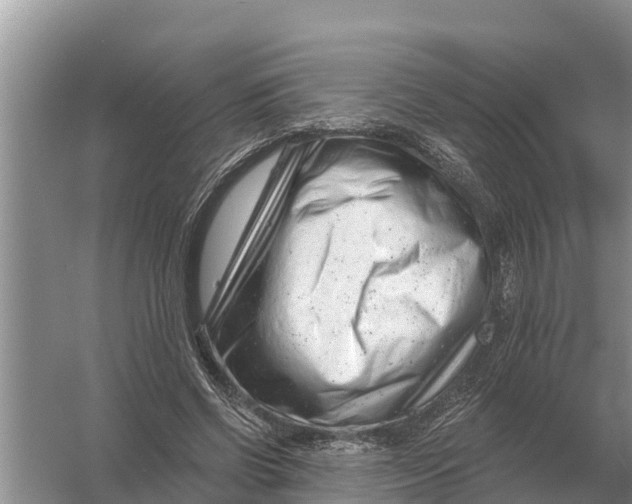 X0000055970542200509162201