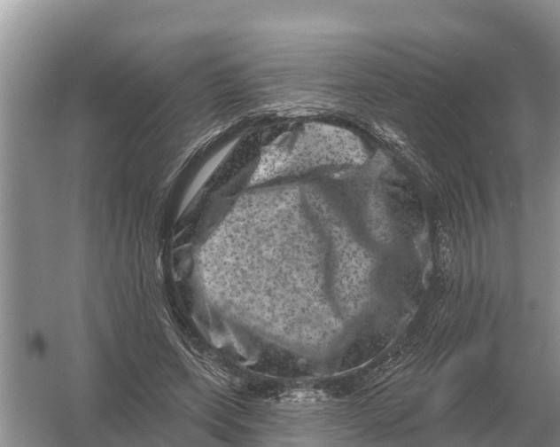 X0000055970543200509162201