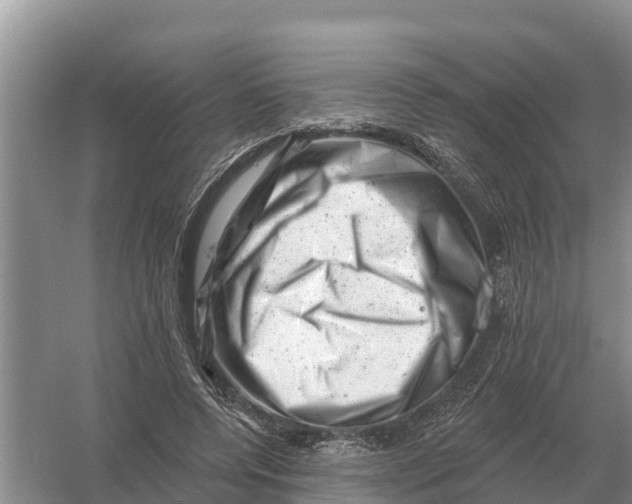 X0000055970544200509162201