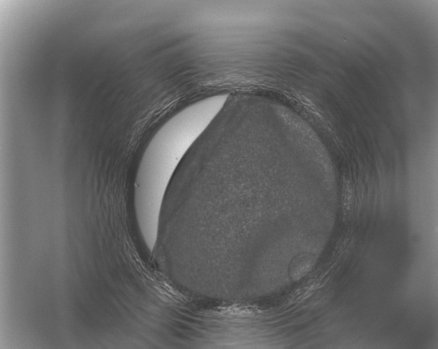 X0000055970545200509162201