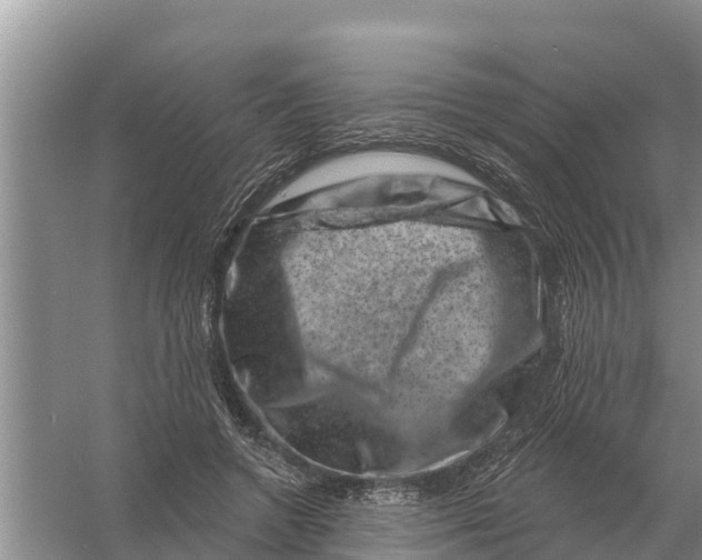 X0000055970546200509162201